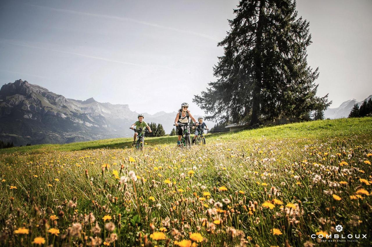 Chalet Alpen Valley, Mont-Blanc Combloux Εξωτερικό φωτογραφία