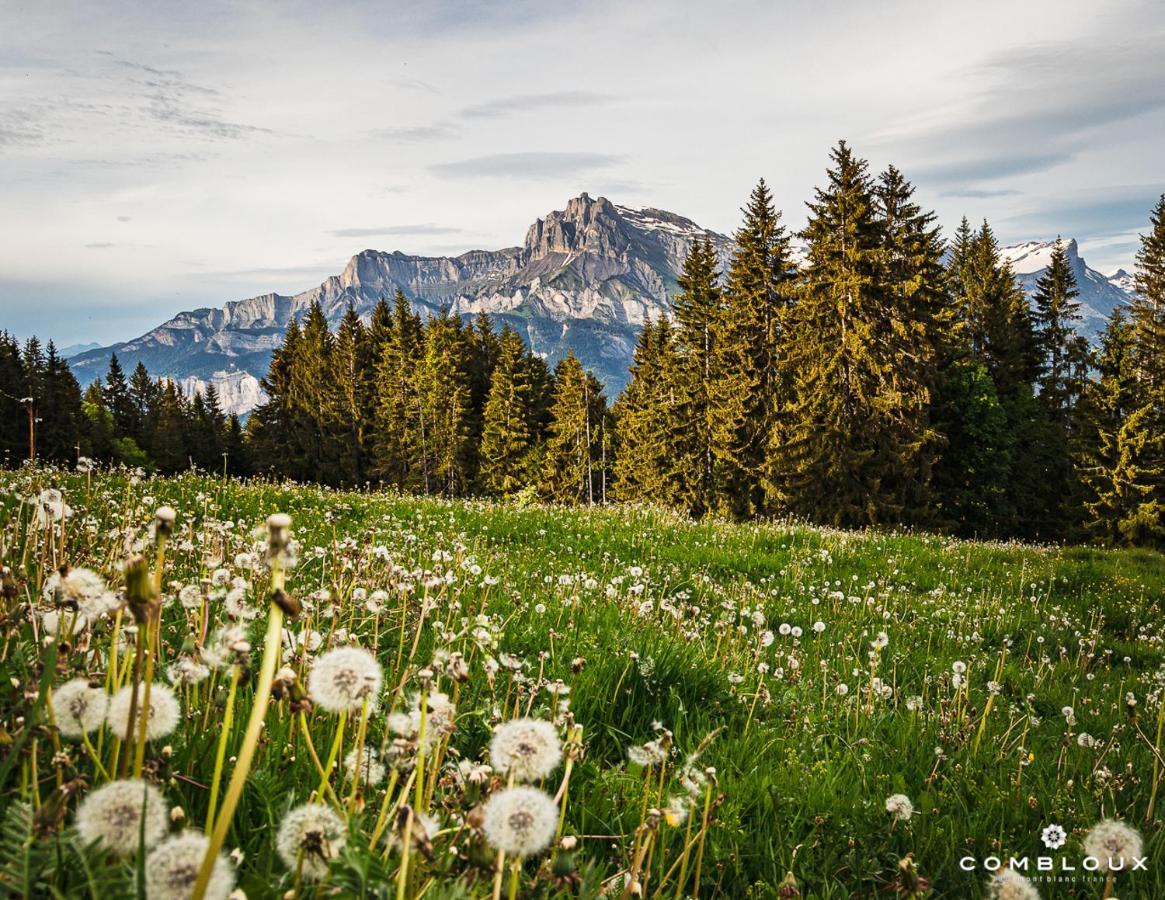 Chalet Alpen Valley, Mont-Blanc Combloux Εξωτερικό φωτογραφία