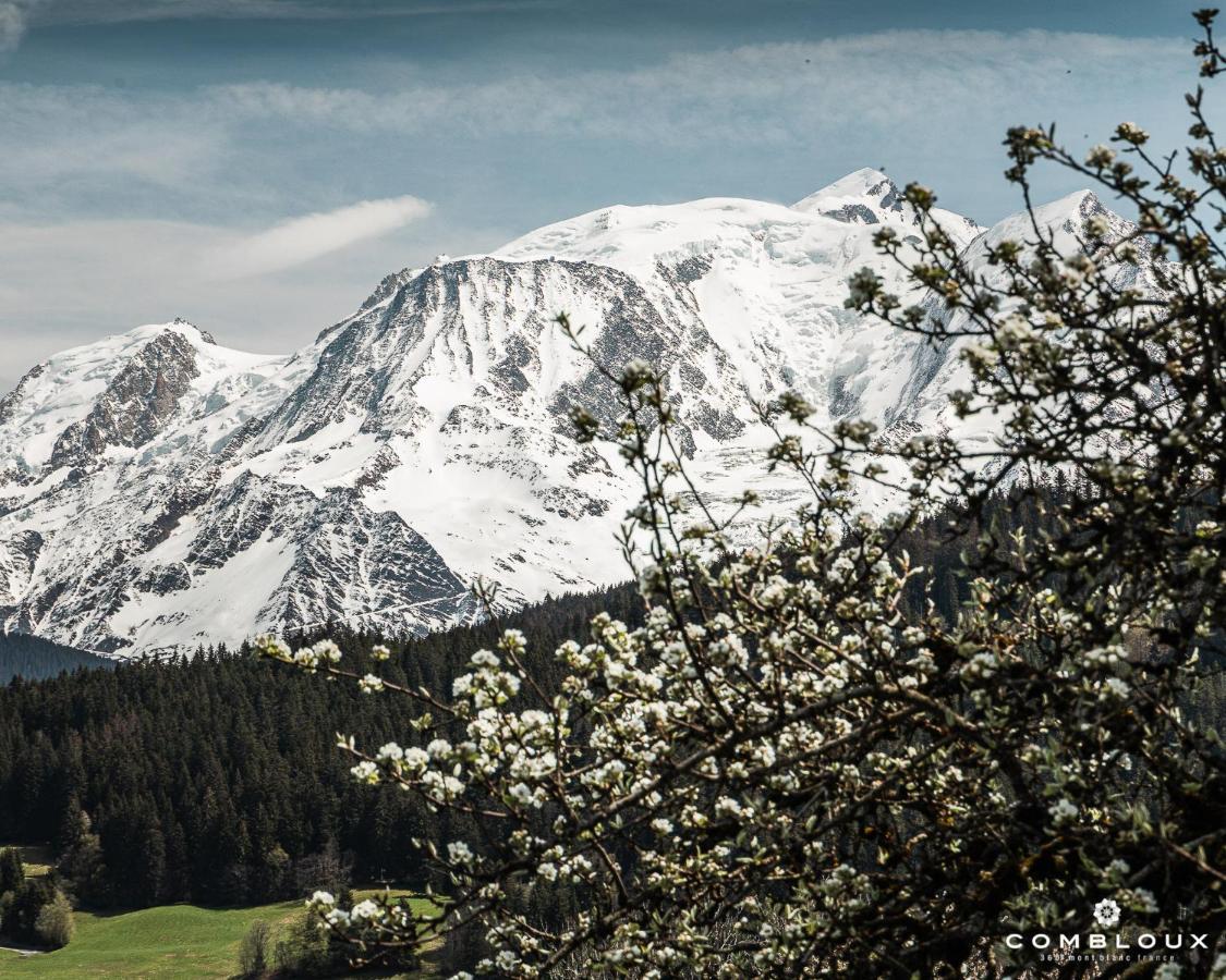 Chalet Alpen Valley, Mont-Blanc Combloux Εξωτερικό φωτογραφία